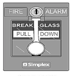 SIMPLEX ADDRESSABLE 4099-9002